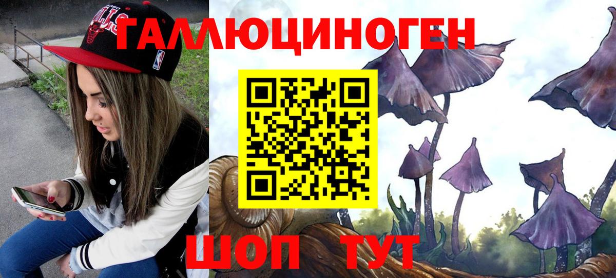 Волжский  цены наркотик  Вход с VPN  Псилоцибиновые грибы мухоморы 